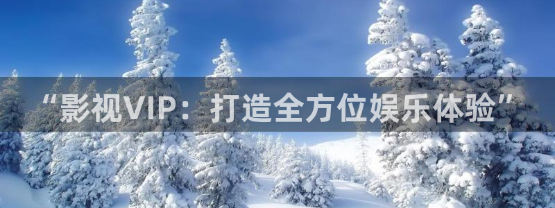 熊猫影视免费观看：“影视VIP：打造全方位娱乐体验”
