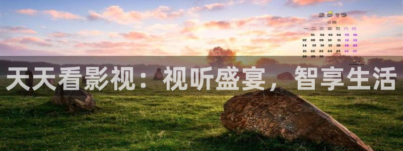 熊猫老师：天天看影视：视听盛宴，智享生活