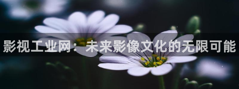 熊猫影院免费影院熊猫电影：影视工业网：未来影像文化的无限可能