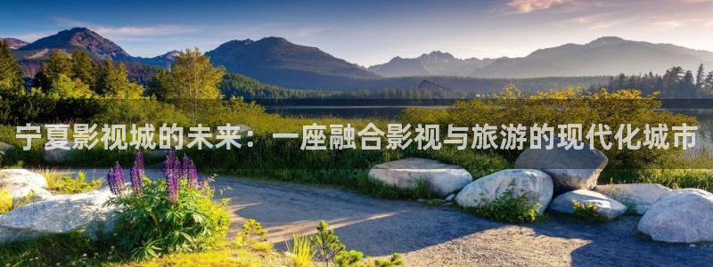 宁夏影视城的未来：一座融合影视与旅游的现代化城市