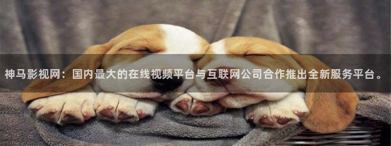 熊猫的电影：神马影视网：国内最大的在线视频平台与互联网公司合作推出全新服务平台。