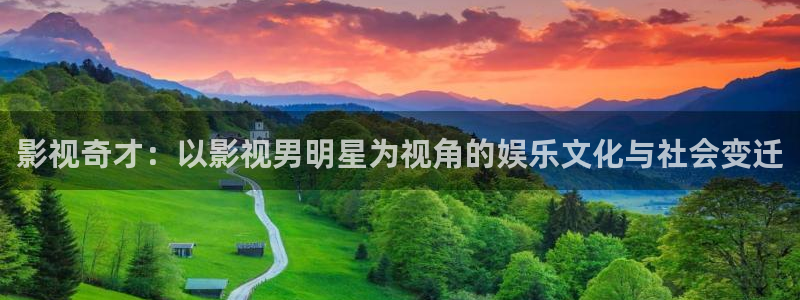 熊猫电影yy8y8免费看哪里：影视奇才：以影视男明星为视角的娱乐文化与社会变迁