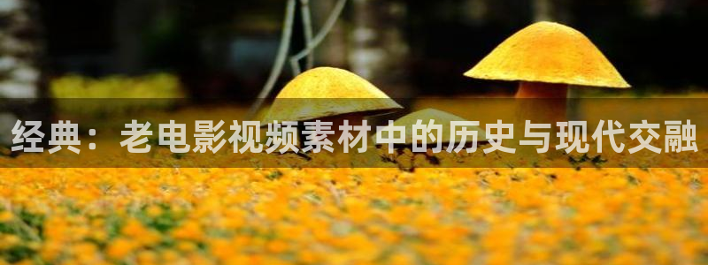 熊猫视频网：经典：老电影视频素材中的历史与现代交融