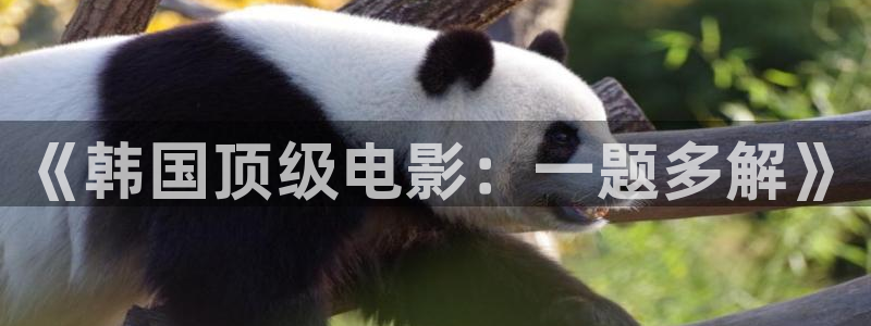 熊猫影院tv在线播放：《韩国顶级电影：一题多解》