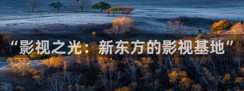 熊猫电影xm66免费观看：“影视之光：新东方的影视基地”