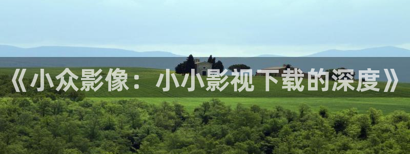 熊猫影院免费观影：《小众影像：小小影视下载的深度》
