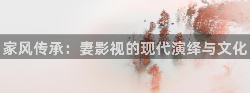 熊猫电影在线看：家风传承：妻影视的现代演绎与文化