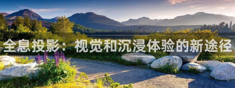 熊猫在线影院：全息投影：视觉和沉浸体验的新途径