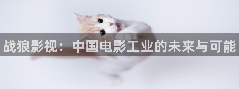 大熊猫 电影：战狼影视：中国电影工业的未来与可能