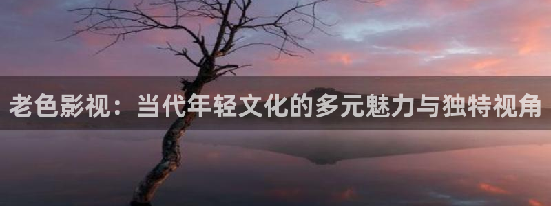 熊猫影院看片：老色影视：当代年轻文化的多元魅力与独特视角