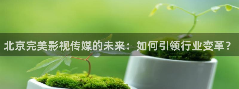 熊猫影院免费进入观看：北京完美影视传媒的未来：如何引领行业变革？